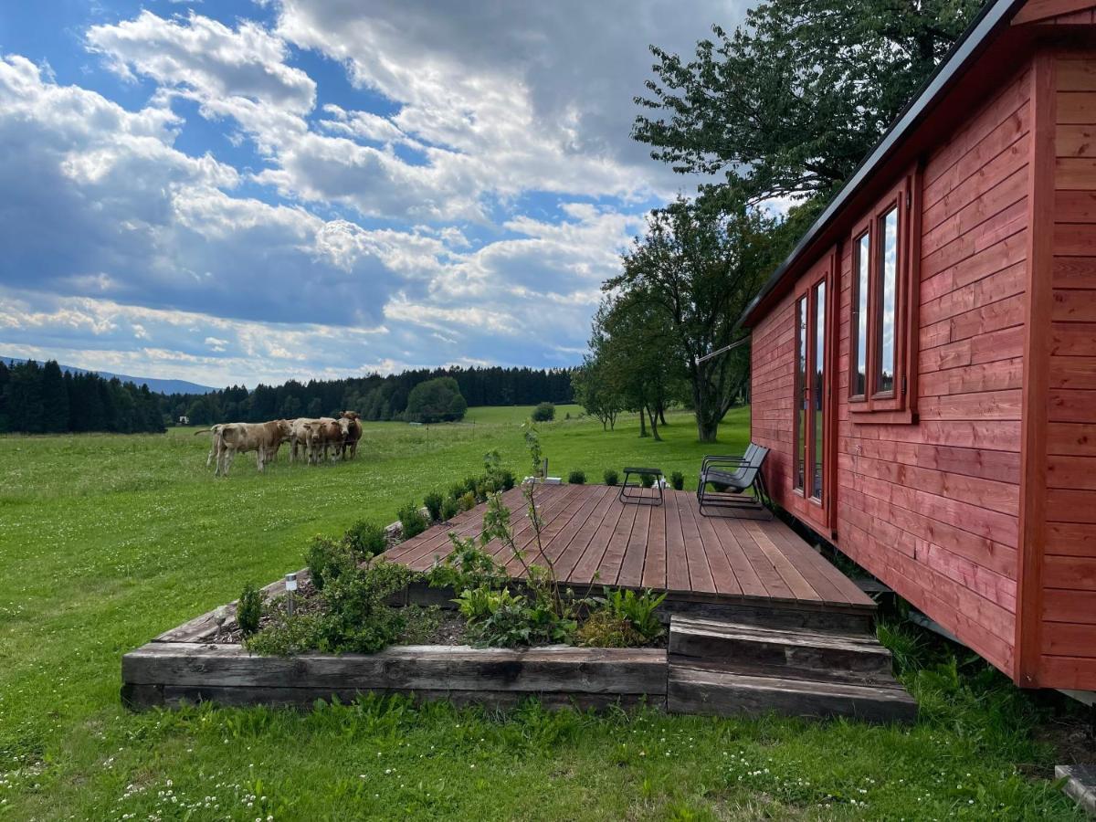 Farma Nahlov Apartment Frymburk Exterior foto
